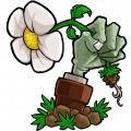 植物大战僵尸合集